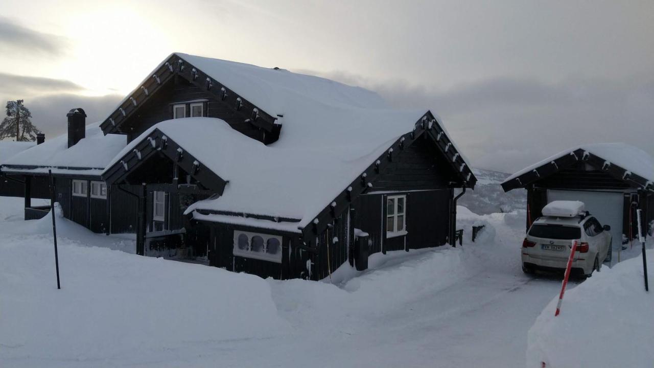 Wonderful Cabin With Amazing Mountain - View Lifjell Экстерьер фото